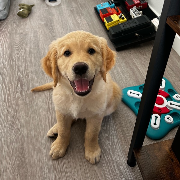 A little bit about me:) - Picture 9 of 11